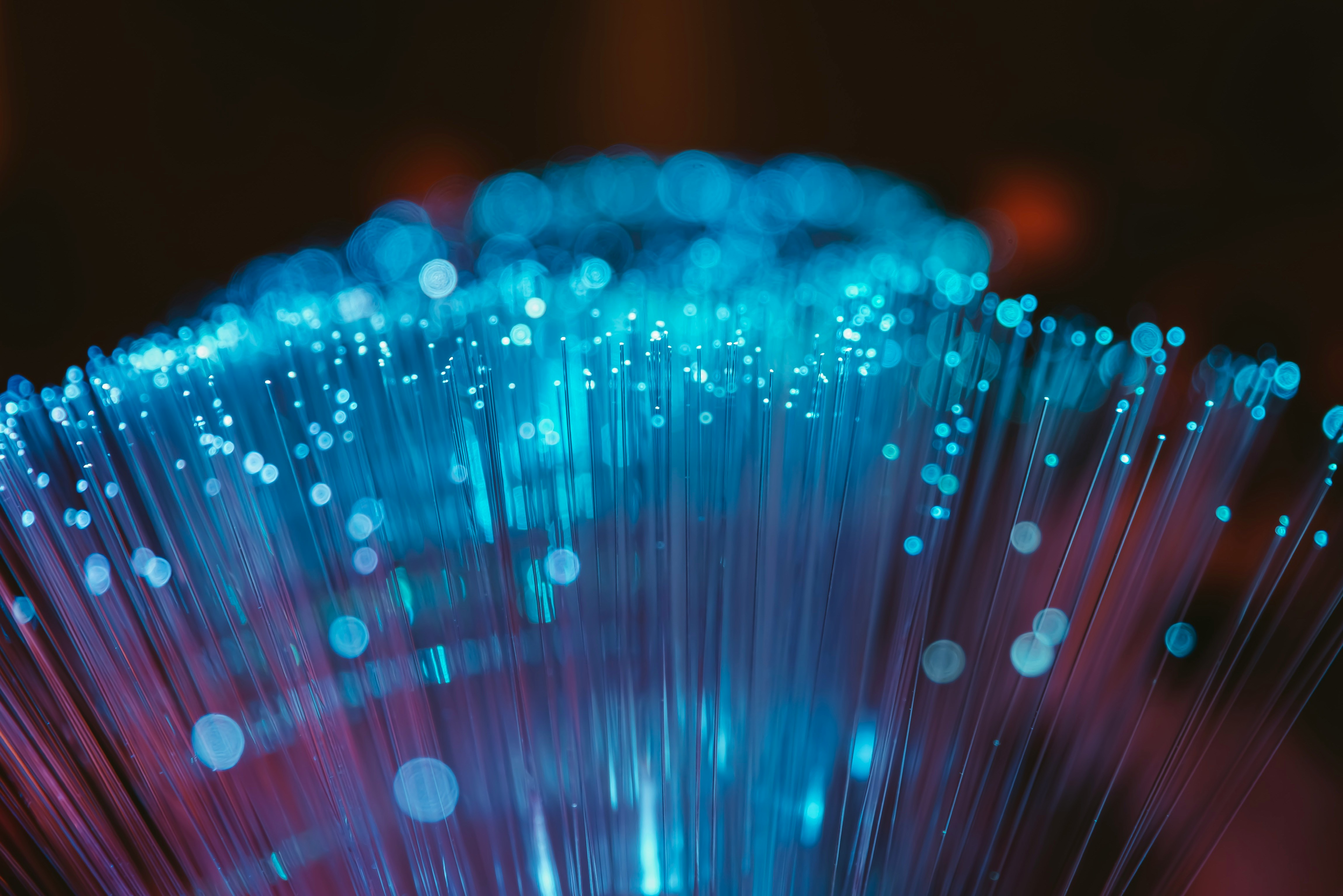 Professional Netwerkpakket